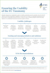 Ensuring the usability of the EU Taxonomy infographics - Febuary 2022